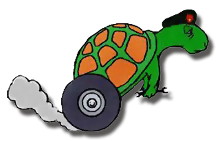 Turtle Logo